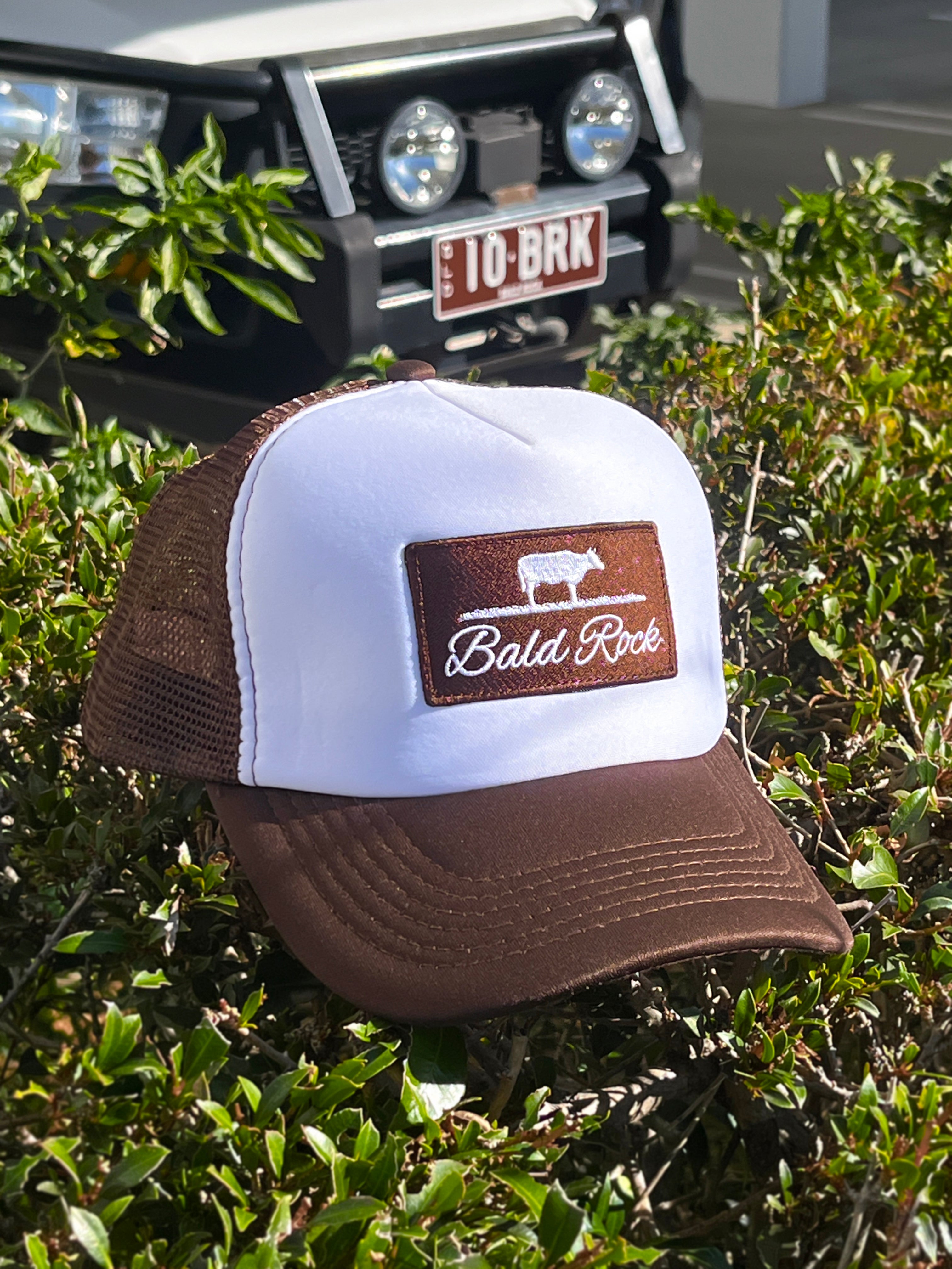 Bald Rock Trucker Hat